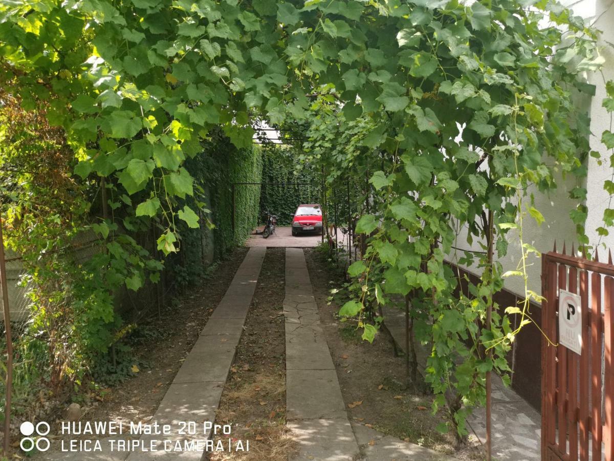 Enjoy Hostel Kluż-Napoka Zewnętrze zdjęcie